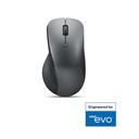 Lenovo Professional Bluetooth Rechargeable Mouse (4Y51J62544)