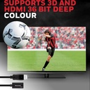 Display Port to HDMI Adapter (HC000004/ADP/BLK)