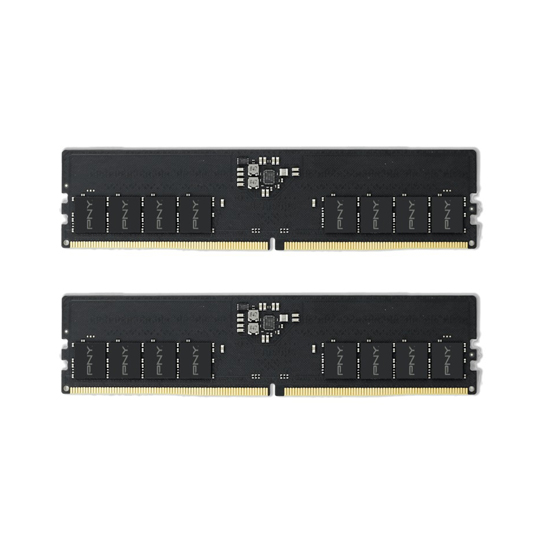 ذاكرة سطح المكتب Lexar PNY Performance DDR5 5600MHz سعة 16 جيجابايت (MD16GSD55600-TB)